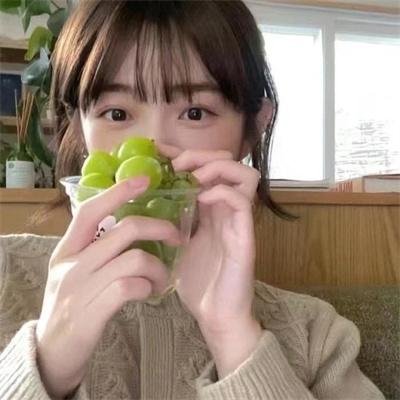 小象守护者
